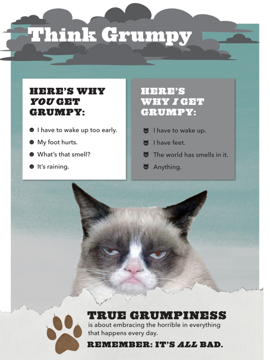 Grumpy Cat A Grumpy Book - photo 10