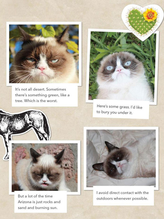 Grumpy Cat A Grumpy Book - photo 15