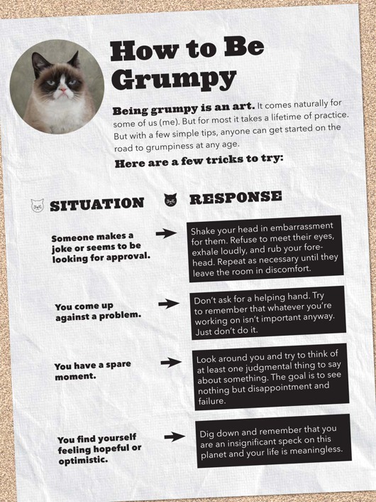 Grumpy Cat A Grumpy Book - photo 24