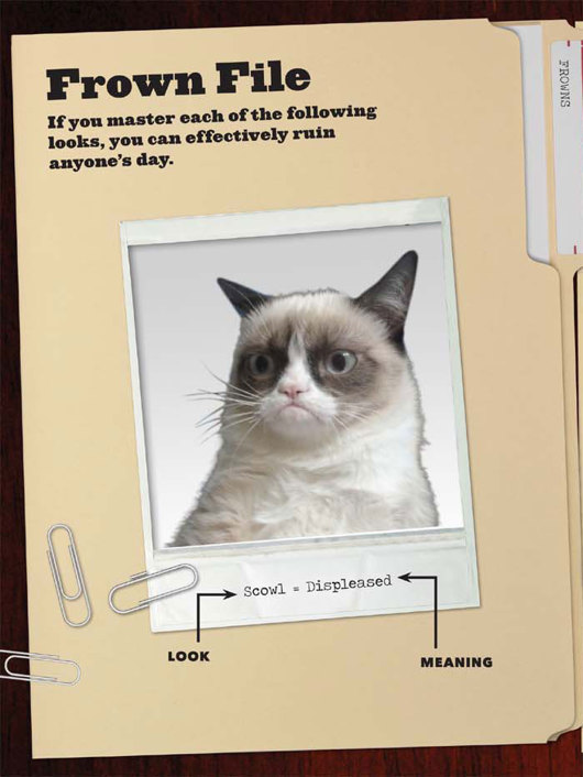 Grumpy Cat A Grumpy Book - photo 32