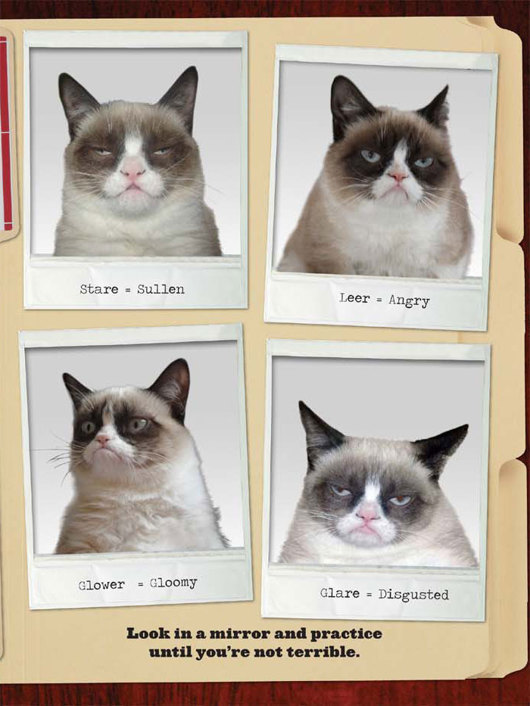 Grumpy Cat A Grumpy Book - photo 33