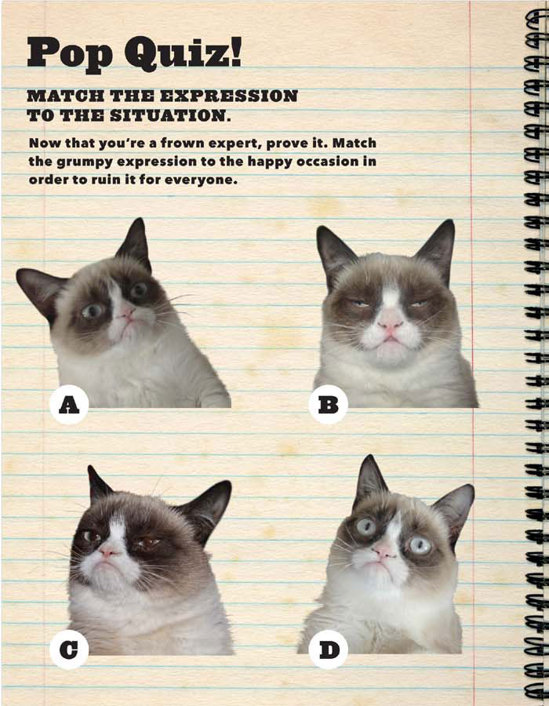 Grumpy Cat A Grumpy Book - photo 34