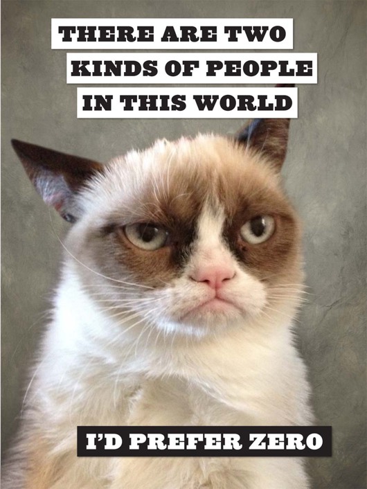 Grumpy Cat A Grumpy Book - photo 43