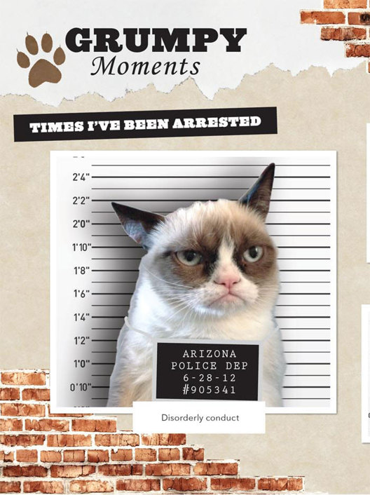 Grumpy Cat A Grumpy Book - photo 44