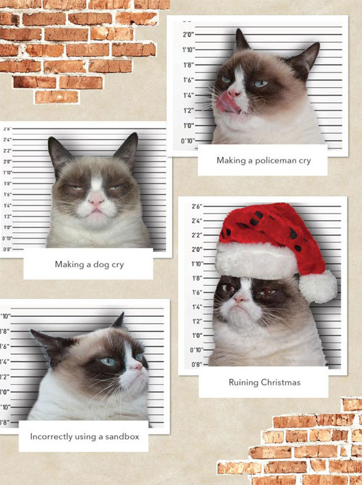 Grumpy Cat A Grumpy Book - photo 45