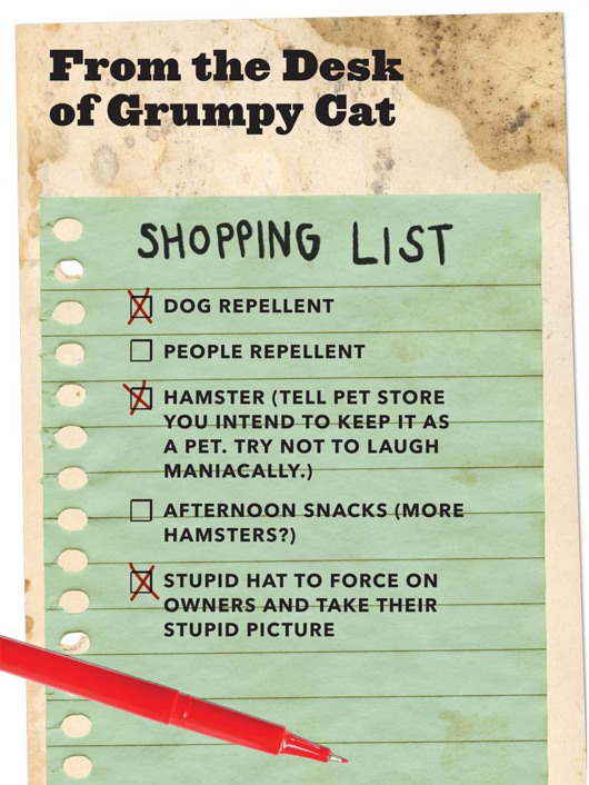 Grumpy Cat A Grumpy Book - photo 52