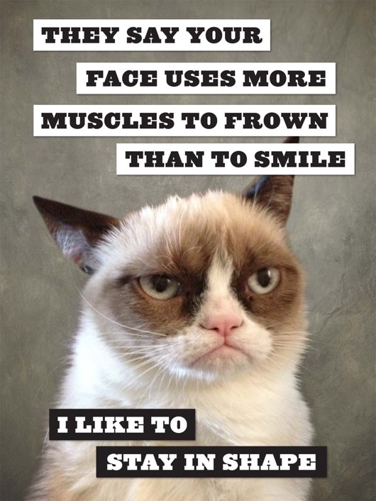 Grumpy Cat A Grumpy Book - photo 54