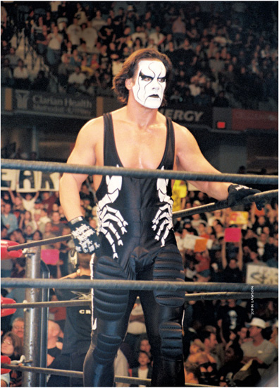 Sting was arguably the companys top draw and led WCW to their largest buy rate - photo 3