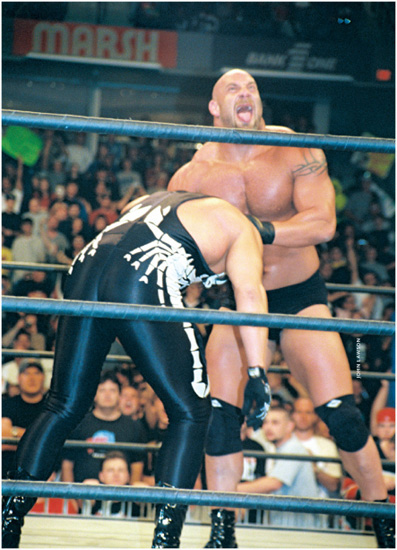 One of WCWs very few homegrown talents Bill Goldberg was the promotions best - photo 11