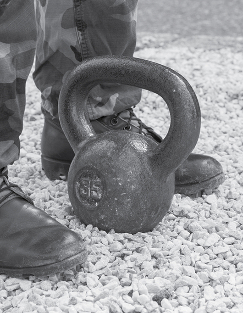 The workouts in this book are designed as part of a weight lifting maintenance - photo 6