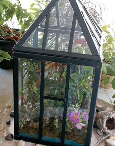 Miniature greenhouses or terrariums were one of the first methods employed - photo 4