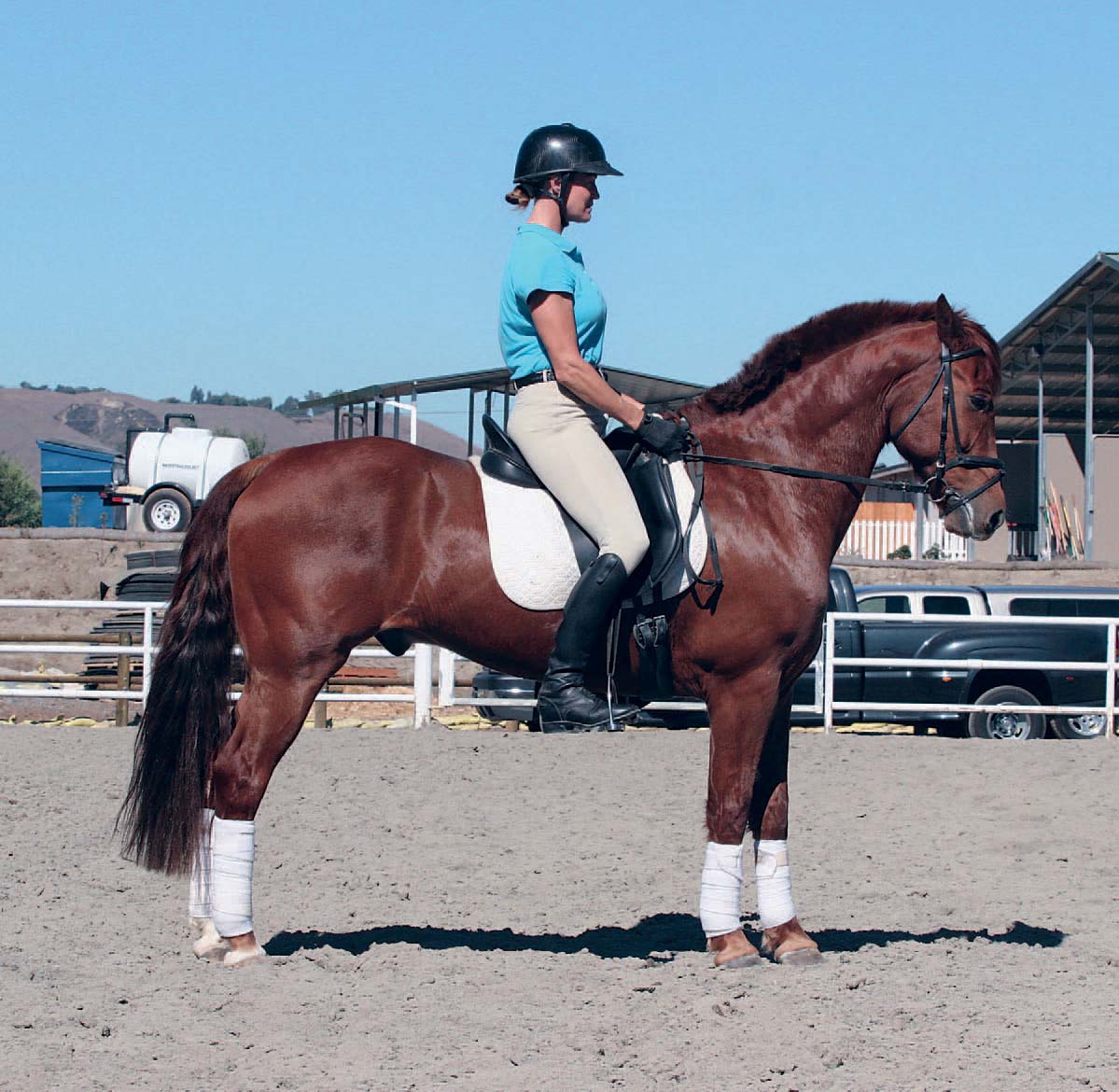 Here is an example of a good dressage position shoulders hips and feet - photo 5