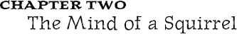 N ot much goes on in the mind of a squirrel Huge portions of what is loosely - photo 11