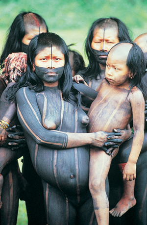 Kayap women of central Brazil dye their skin with black genipapo dye for - photo 12