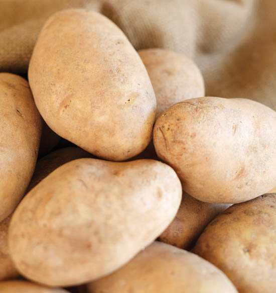 Russet Burbank potatoes are generally sold in two grades a number one and a - photo 2