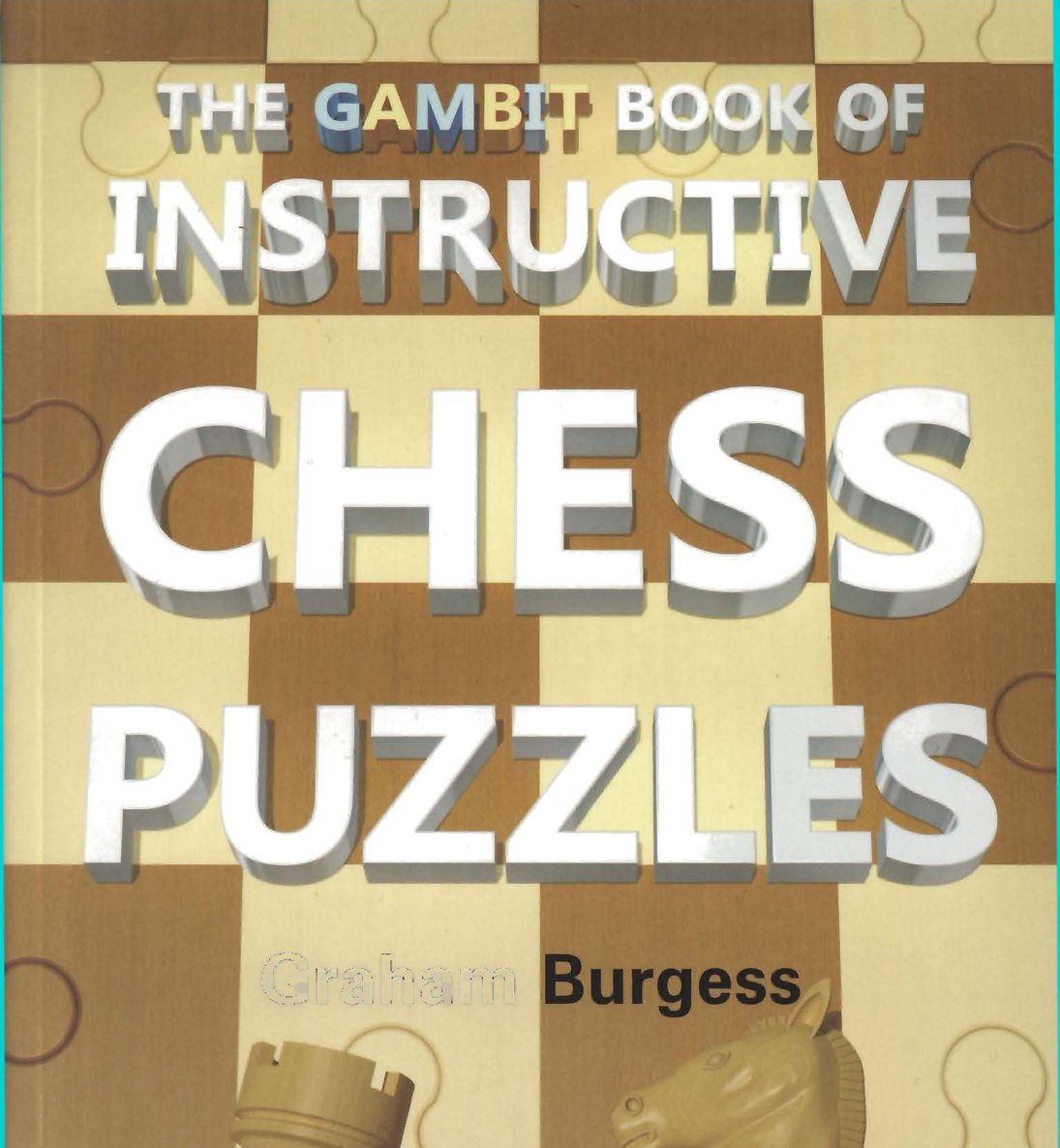 The Gambit Book of Instructive Chess Puzzles - photo 1