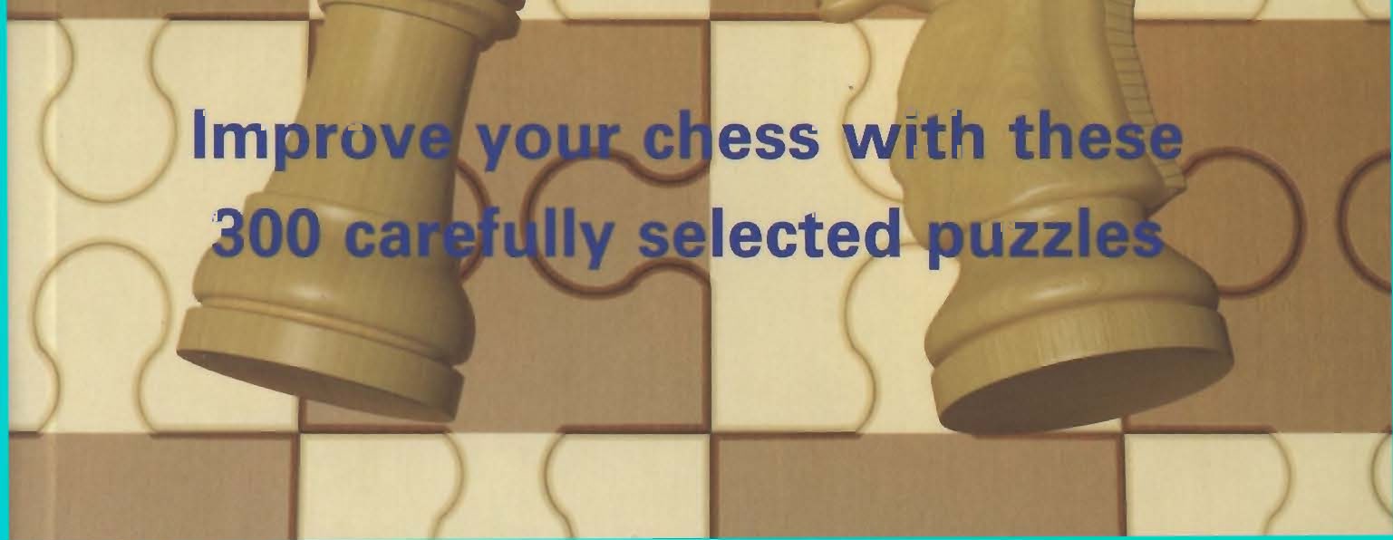 The Gambit Book of Instructive Chess Puzzles - image 2