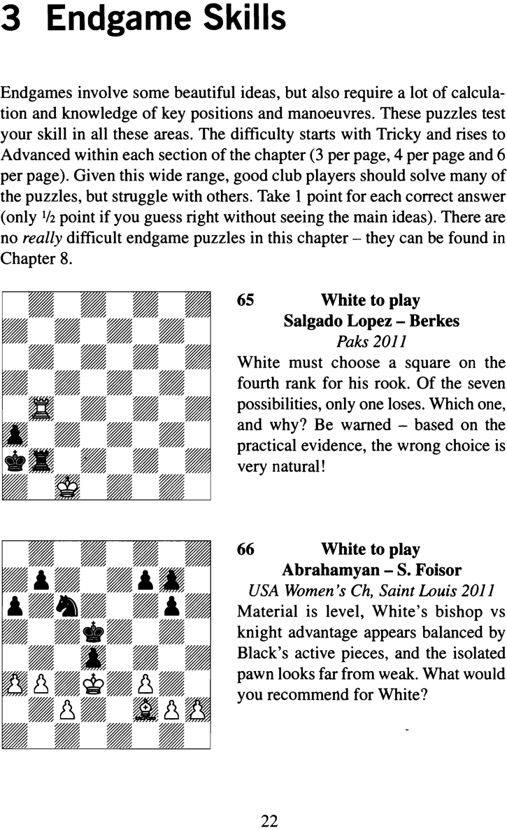 The Gambit Book of Instructive Chess Puzzles - photo 33