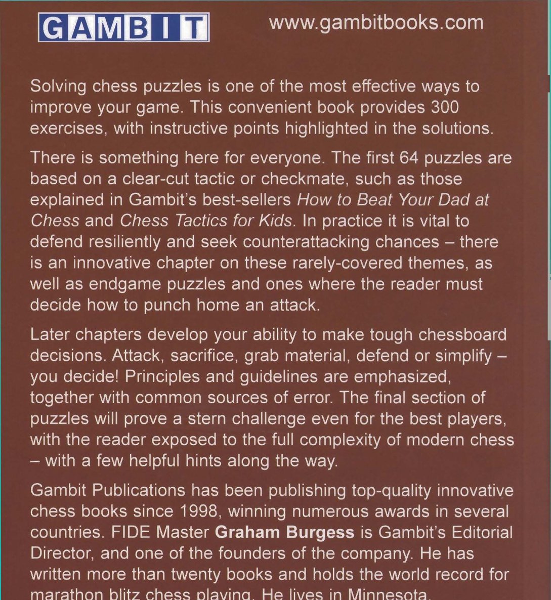 The Gambit Book of Instructive Chess Puzzles - image 4