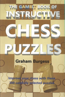 Graham Burgess - The Gambit Book of Instructive Chess Puzzles