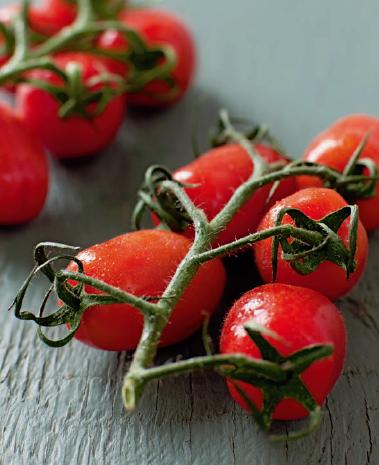 Italians are fussy about everything in food but especially tomatoes Frank - photo 15