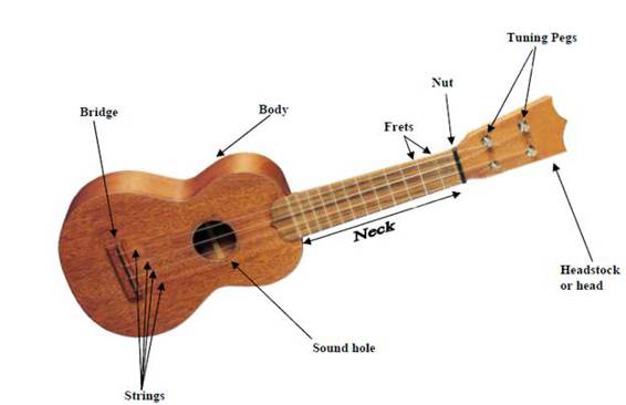 How to Choose a Ukulele for Purchase Choosing a uke is an exciting but - photo 2