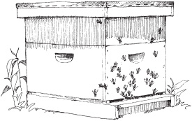 Storeys Guide to KEEPING HONEY BEES Honey Production Pollination Bee Health - photo 1