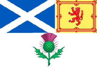 Scotlands national emblems are the saltire of St Andrew the royal standard of - photo 4