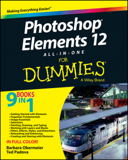 Barbara Obermeier Photoshop Elements 12 All-in-One For Dummies