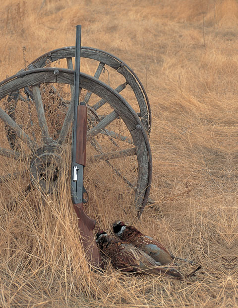 INTRODUCTION Whether the hunt takes you after Rocky Mountain elk along the - photo 4