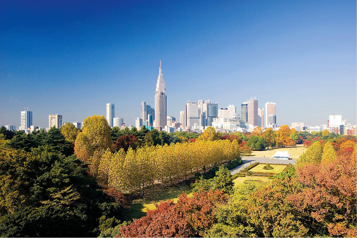 Shinjuku Gyoen Tokyo has several beautiful traditional parks and gardens - photo 9