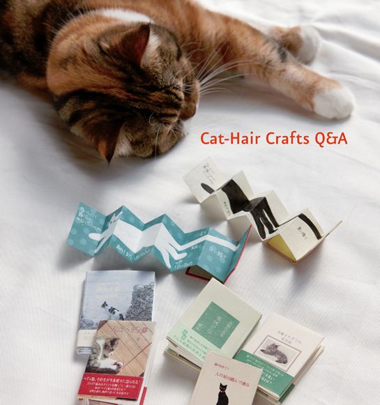 Can I really make crafts with my cats hair Making stuff with cat hair is - photo 12