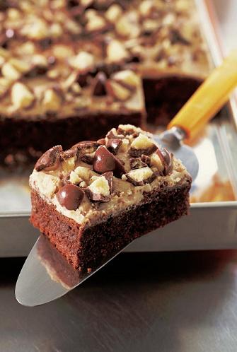 Who can resist a brownie These easy one-batch bars are as American a - photo 4