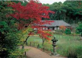 J ruriji Temple Nara Basic Principles Many architectural styles have - photo 10