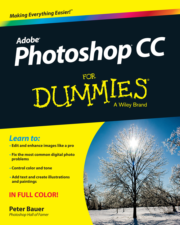 Photoshop CC For Dummies Published by John Wiley Sons Inc 111 River - photo 1