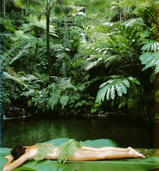 The Source at Begawan Giri Estate has taken the outdoor spa concept to its - photo 3