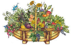 Salad Days Recipes for Delicious Organic Salads and Dressings for Every Season - image 1