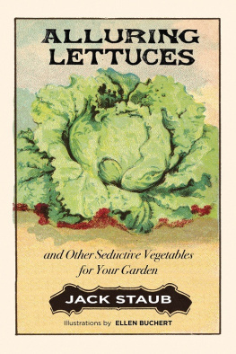 Jack Staub Alluring Lettuces: And Other Seductive Vegetables for Your Garden