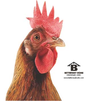 BACKYARD CHICKENS GUIDE TO COOPS AND TRACTORS Copyright 2011 by FW Media - photo 2