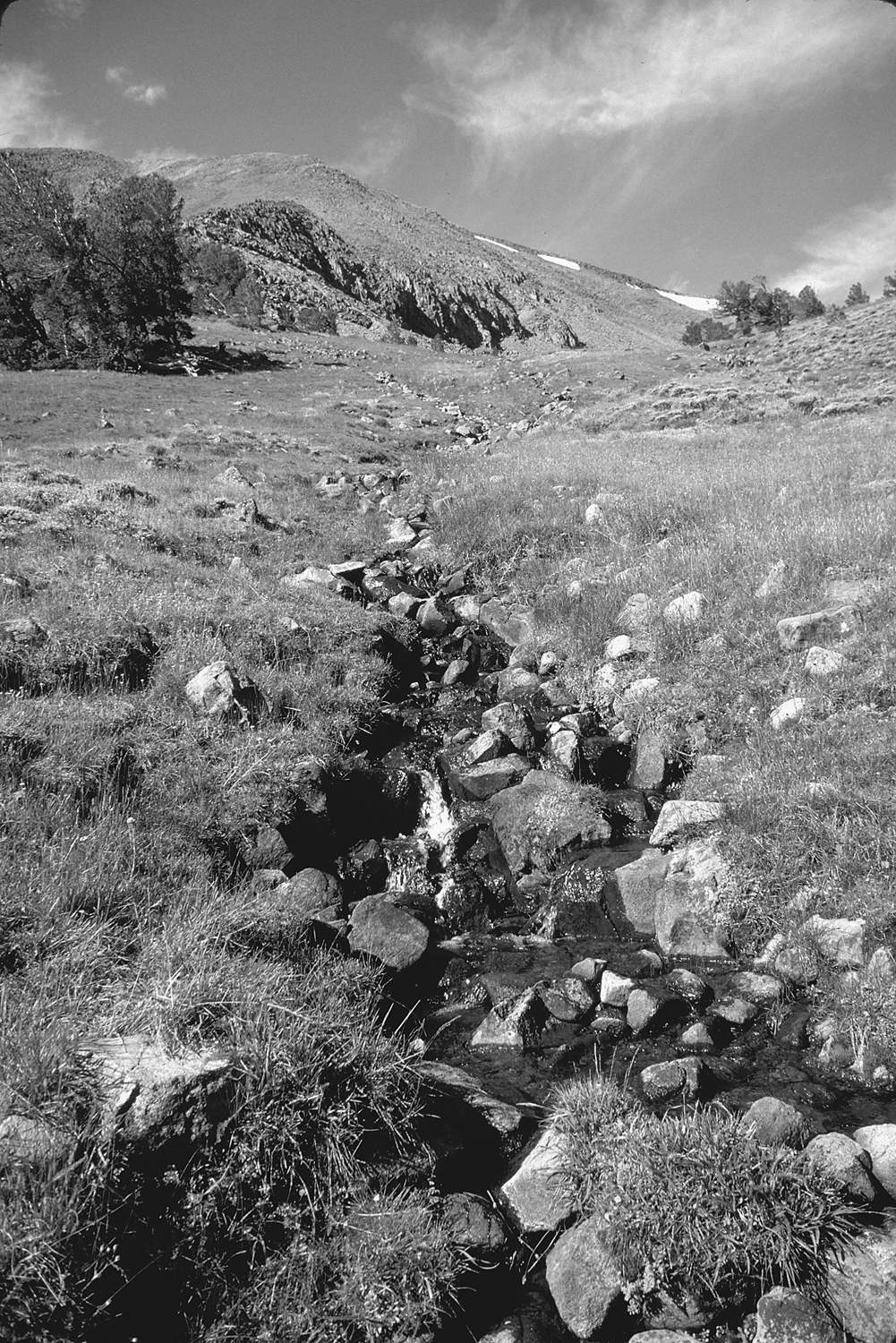 Stream in Bucks Canyon Acknowledgments Over the years many individuals have - photo 4