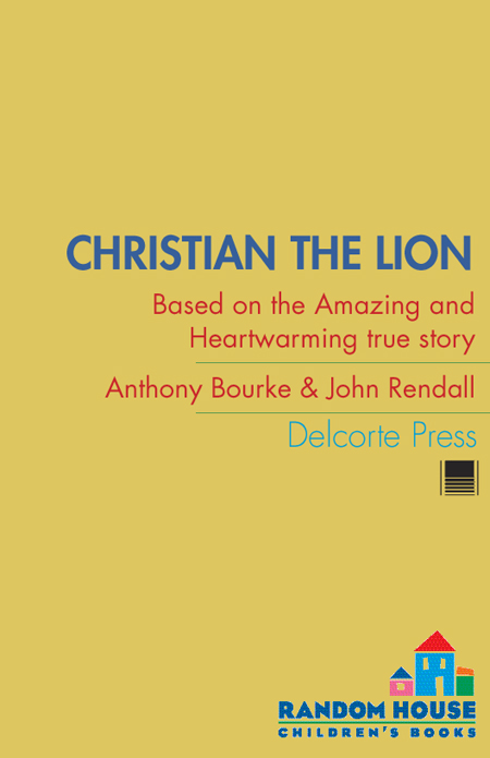 Christian the Lion - image 1