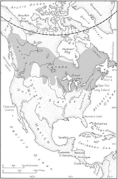 Pre-Columbian North and Central America The shaded area indicates the range - photo 4