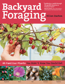 Ellen Zachos - Backyard Foraging: 65 Familiar Plants You Didnt Know You Could Eat