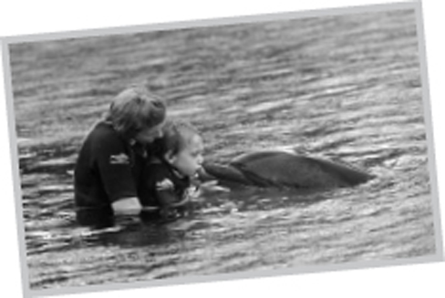 M y son Wesley wanted to swim with the dolphins He was turning nine on the - photo 4