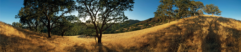 A panoramic of an oak grove along the western slopes of Mount Diablo the - photo 8