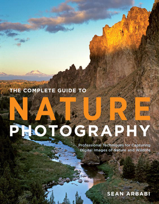 The Complete Guide to Nature Photography Professional Techniques for Capturing Digital Images of Nature and Wildlife - photo 1