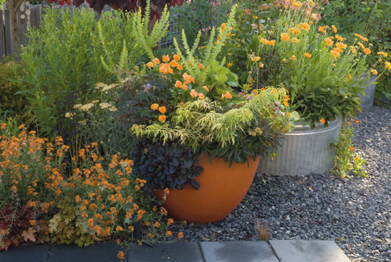 Ribbons of orange repeated in pots pansies and wallflowers weave through my - photo 9