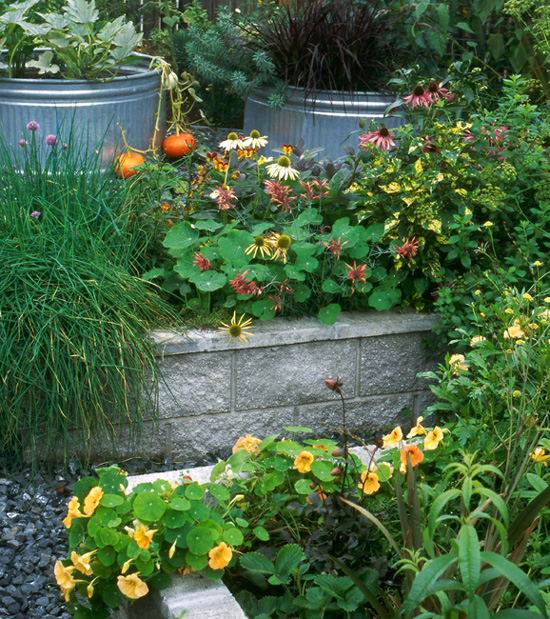 The Simplified Garden A New Low-Maintenance Manifesto GARDENING LIKE - photo 10