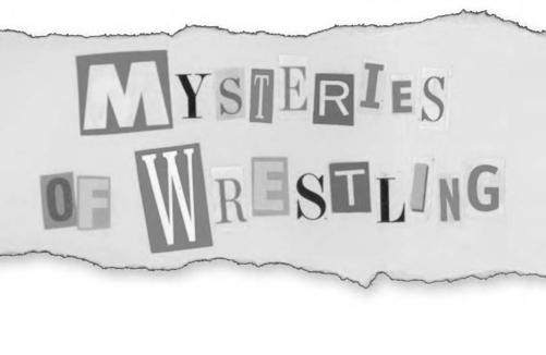 Mysteries of Wrestling Solved - image 8