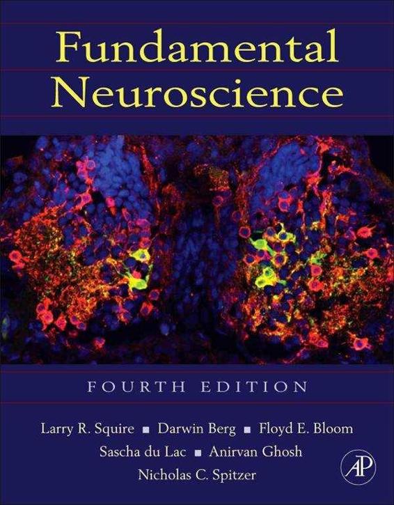 Fundamental Neuroscience Fourth Edition Edited by Larry R Squire VA - photo 1